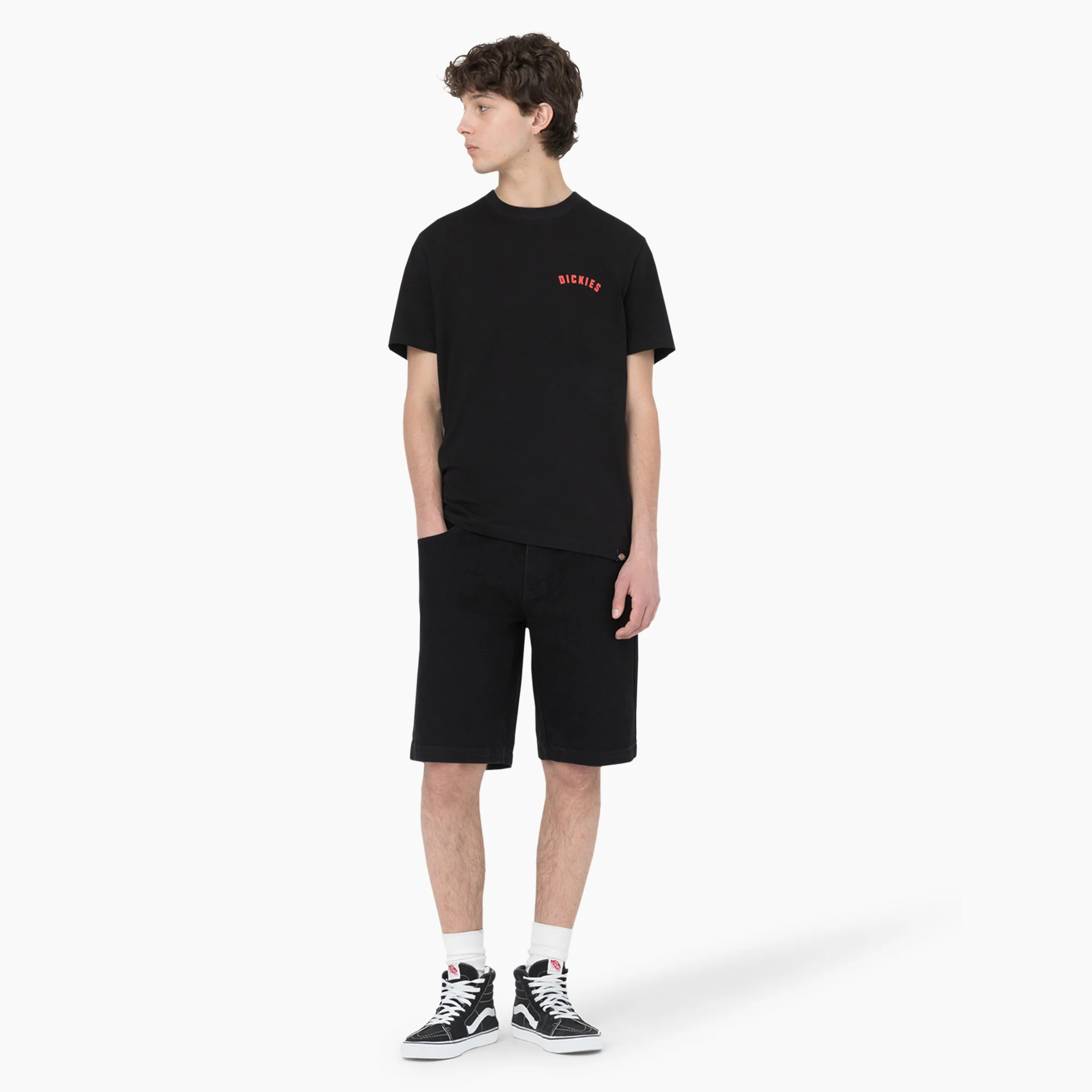 Dickies Skateboarding Loose Fit Wingville Shorts, 11" - Image 5
