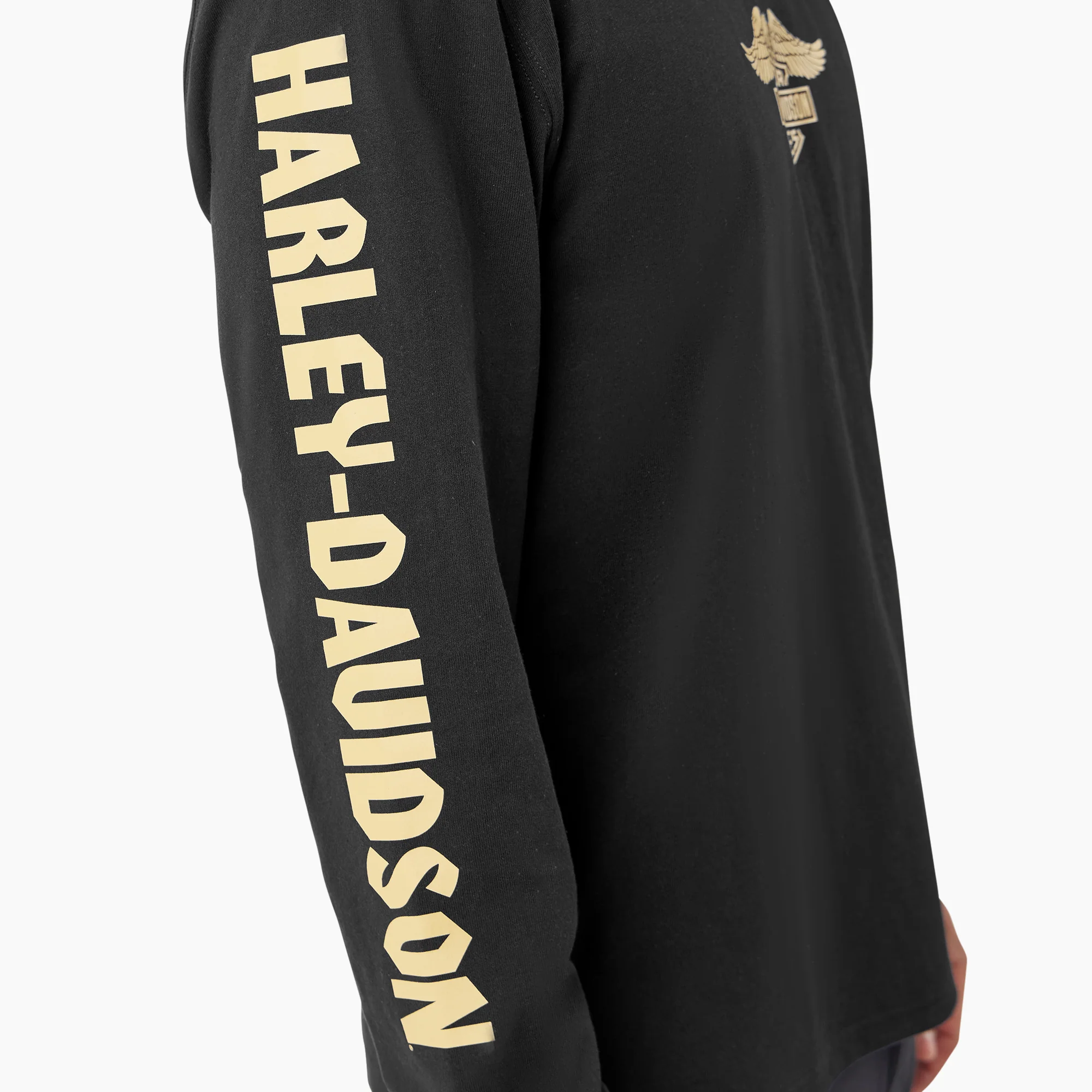Dickies x Harley-Davidson Heavyweight Long Sleeve Eagle Tee - Image 7